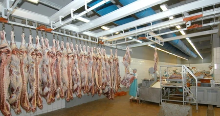 Дезинсекция на мясокомбинате в Совхозе имени Ленина, цены на услуги